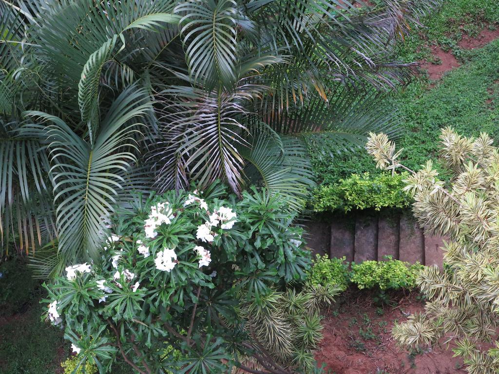 Kandy View Garden Hotel Bagian luar foto